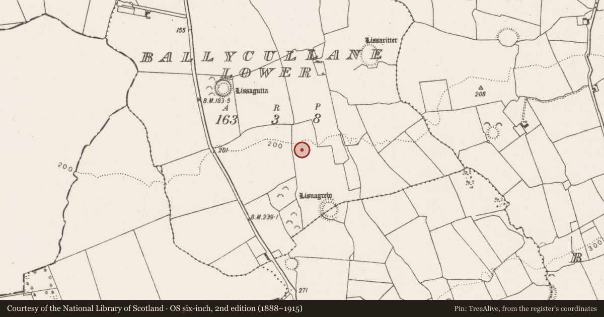 Ordnance Survey six-inch map, 2nd edition (1888–1915) covering the location of Ringfort - rath, Ballycullane Lower, County Limerick, with a pin at the register's coordinates