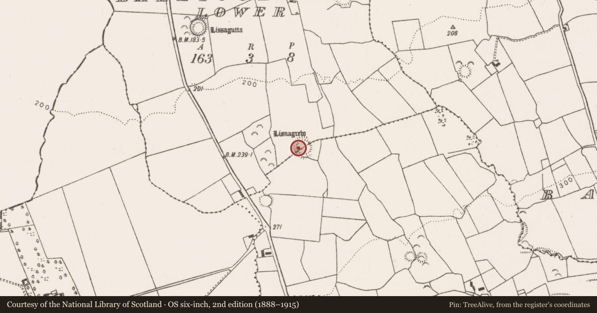 Ordnance Survey six-inch map, 2nd edition (1888–1915) covering the location of Ringfort - rath, Ballycullane Lower, County Limerick, with a pin at the register's coordinates