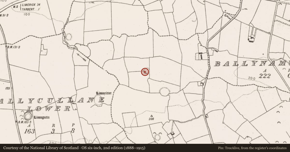 Ordnance Survey six-inch map, 2nd edition (1888–1915) covering the location of Ringfort - rath, Ballynagaul, County Limerick, with a pin at the register's coordinates