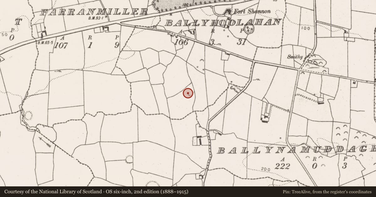 Ordnance Survey six-inch map, 2nd edition (1888–1915) covering the location of Ringfort - rath, Ballyhoolahan, County Limerick, with a pin at the register's coordinates