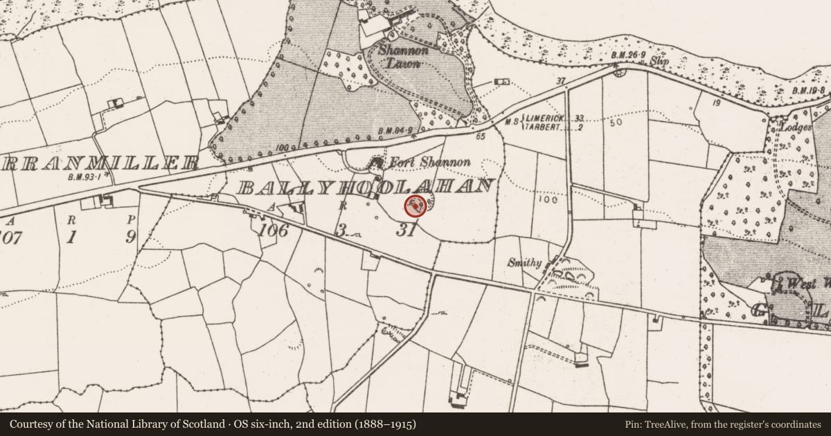 Ordnance Survey six-inch map, 2nd edition (1888–1915) covering the location of Ringfort - rath, Ballyhoolahan, County Limerick, with a pin at the register's coordinates