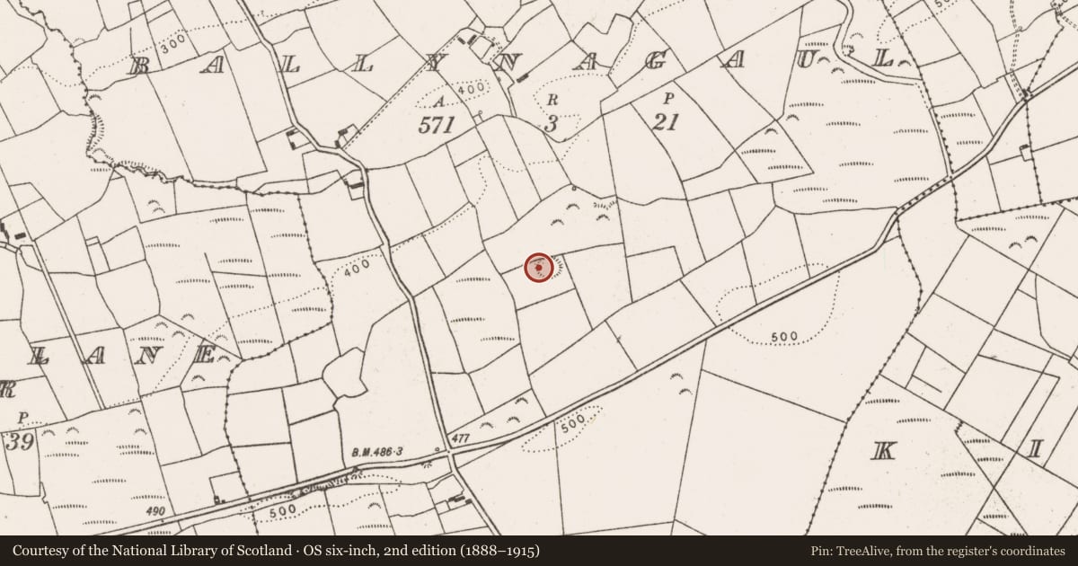 Ordnance Survey six-inch map, 2nd edition (1888–1915) covering the location of Ringfort - rath, Ballynagaul, County Limerick, with a pin at the register's coordinates