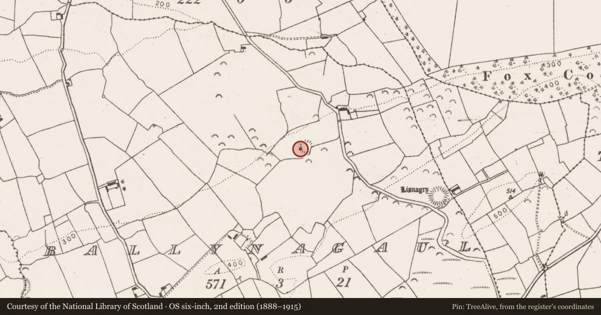 Ordnance Survey six-inch map, 2nd edition (1888–1915) covering the location of Ringfort - rath, Ballynagaul, County Limerick, with a pin at the register's coordinates