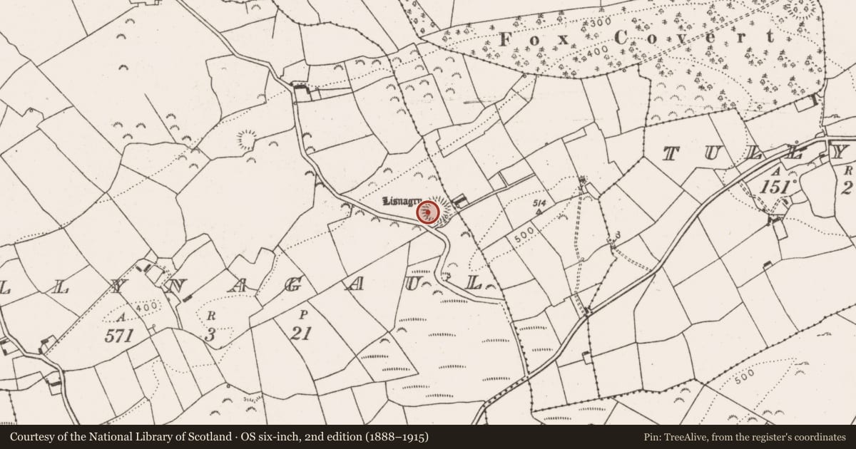 Ordnance Survey six-inch map, 2nd edition (1888–1915) covering the location of Ringfort - rath, Ballynagaul, County Limerick, with a pin at the register's coordinates