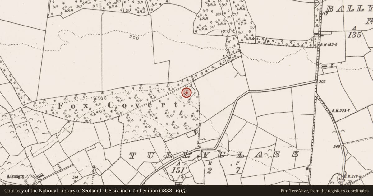 Ordnance Survey six-inch map, 2nd edition (1888–1915) covering the location of Ringfort - rath, Glin Demesne, County Limerick, with a pin at the register's coordinates