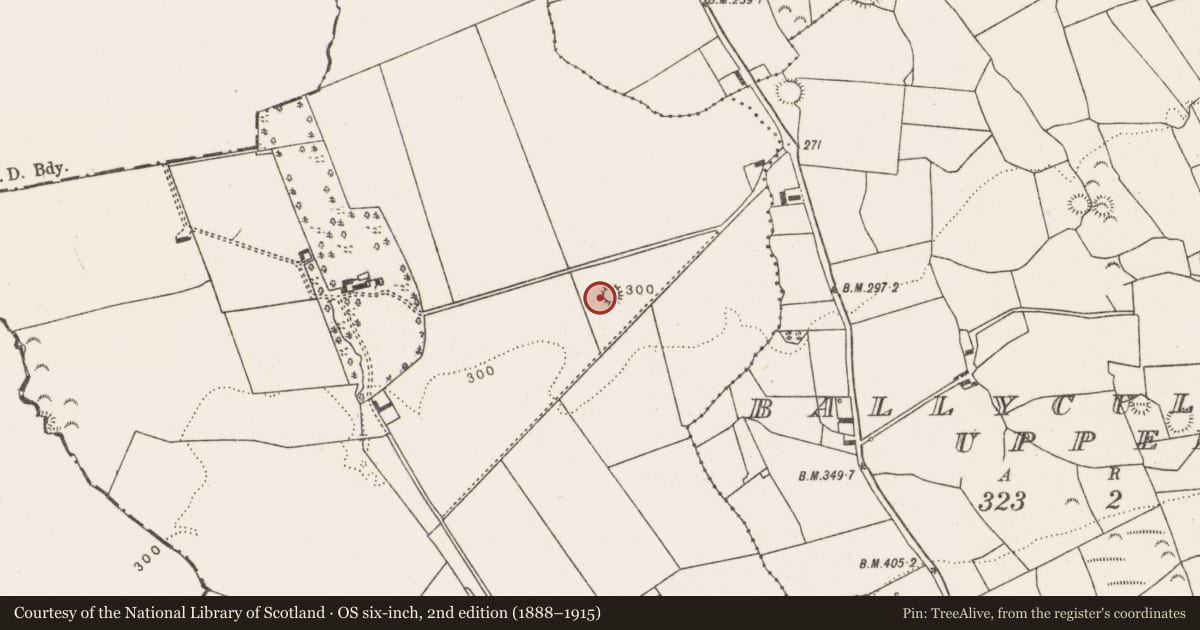 Ordnance Survey six-inch map, 2nd edition (1888–1915) covering the location of Ringfort - rath, Ballygoghlan, County Limerick, with a pin at the register's coordinates