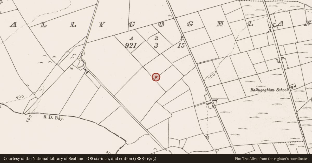 Ordnance Survey six-inch map, 2nd edition (1888–1915) covering the location of Ringfort - rath, Ballygoghlan, County Limerick, with a pin at the register's coordinates