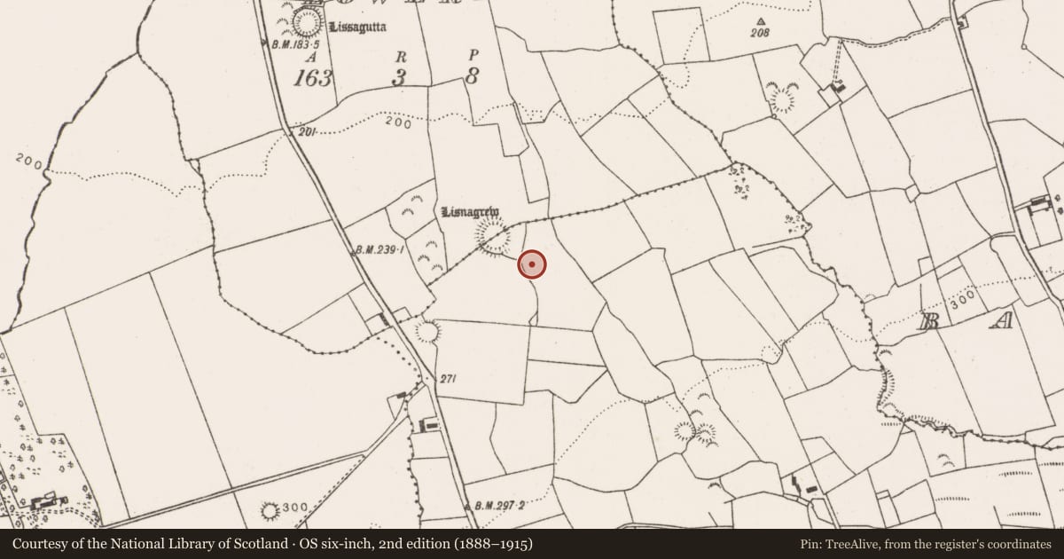 Ordnance Survey six-inch map, 2nd edition (1888–1915) covering the location of Ringfort - rath, Ballycullane Upper, County Limerick, with a pin at the register's coordinates