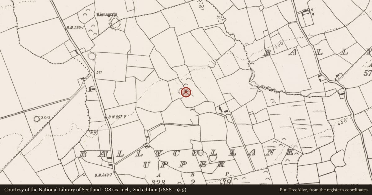Ordnance Survey six-inch map, 2nd edition (1888–1915) covering the location of Ringfort - rath, Ballycullane Upper, County Limerick, with a pin at the register's coordinates