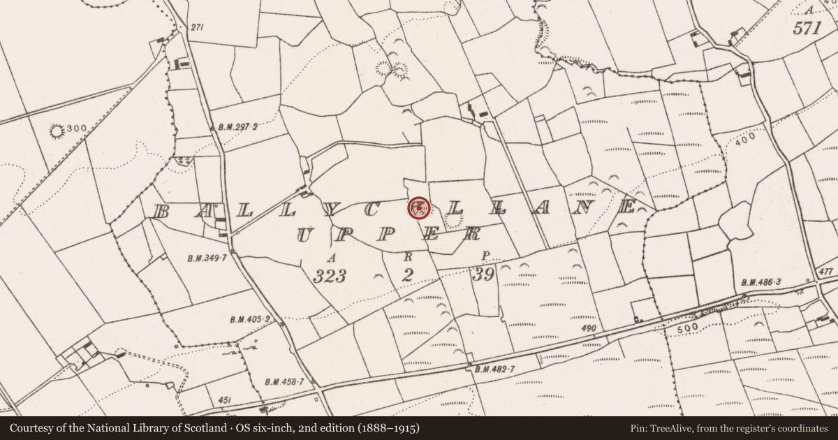 Ordnance Survey six-inch map, 2nd edition (1888–1915) covering the location of Enclosure, Ballycullane Upper, County Limerick, with a pin at the register's coordinates