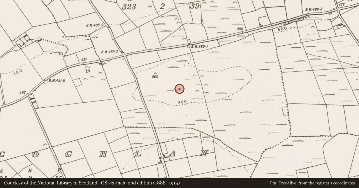 Ordnance Survey six-inch map, 2nd edition (1888–1915) covering the location of Megalithic structure, Ballycullane Upper, County Limerick, with a pin at the register's coordinates