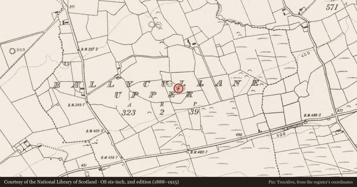 Ordnance Survey six-inch map, 2nd edition (1888–1915) covering the location of Ringfort - rath, Ballycullane Upper, County Limerick, with a pin at the register's coordinates