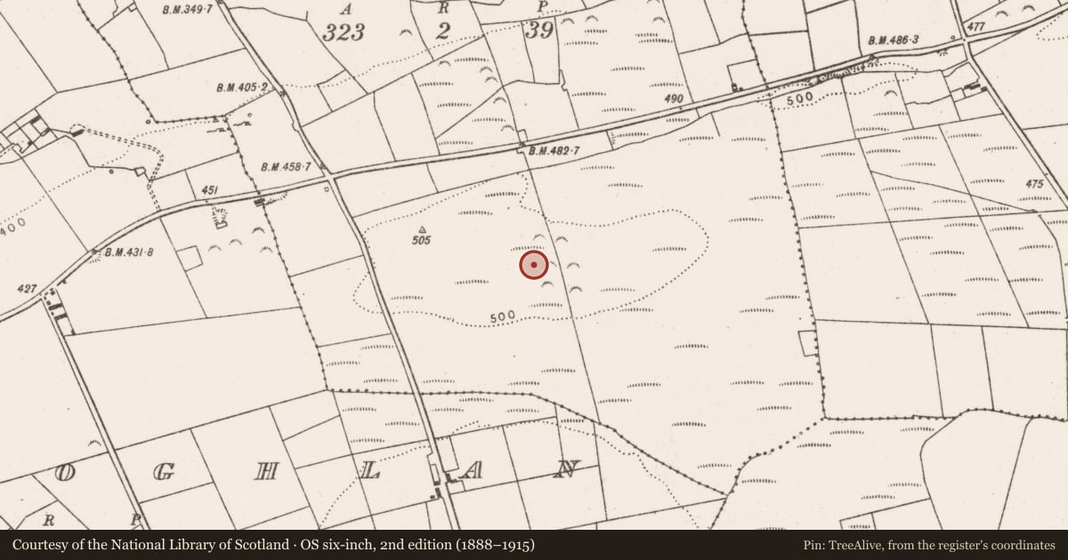 Ordnance Survey six-inch map, 2nd edition (1888–1915) covering the location of Megalithic structure, Ballycullane Upper, County Limerick, with a pin at the register's coordinates