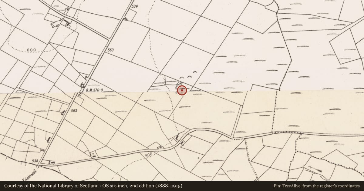 Ordnance Survey six-inch map, 2nd edition (1888–1915) covering the location of Ringfort - rath, Tullyleague, County Limerick, with a pin at the register's coordinates