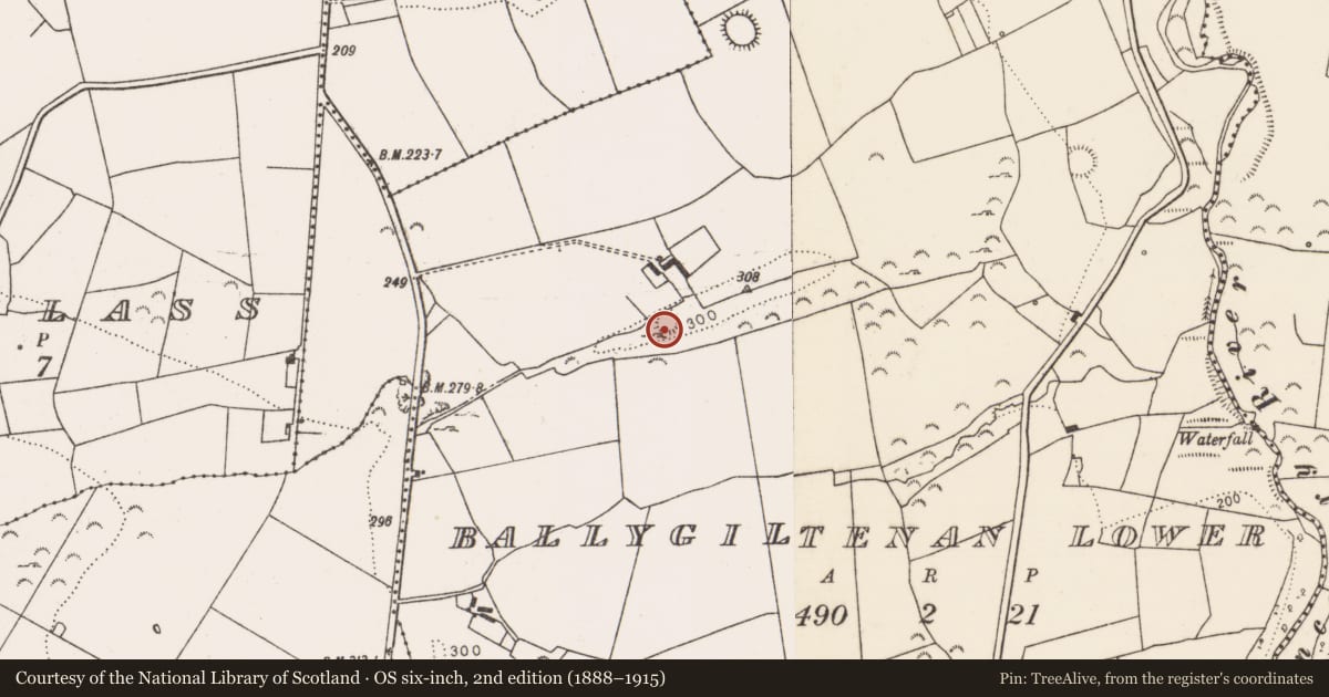 Ordnance Survey six-inch map, 2nd edition (1888–1915) covering the location of Ringfort - rath, Ballygiltenan Lower, County Limerick, with a pin at the register's coordinates