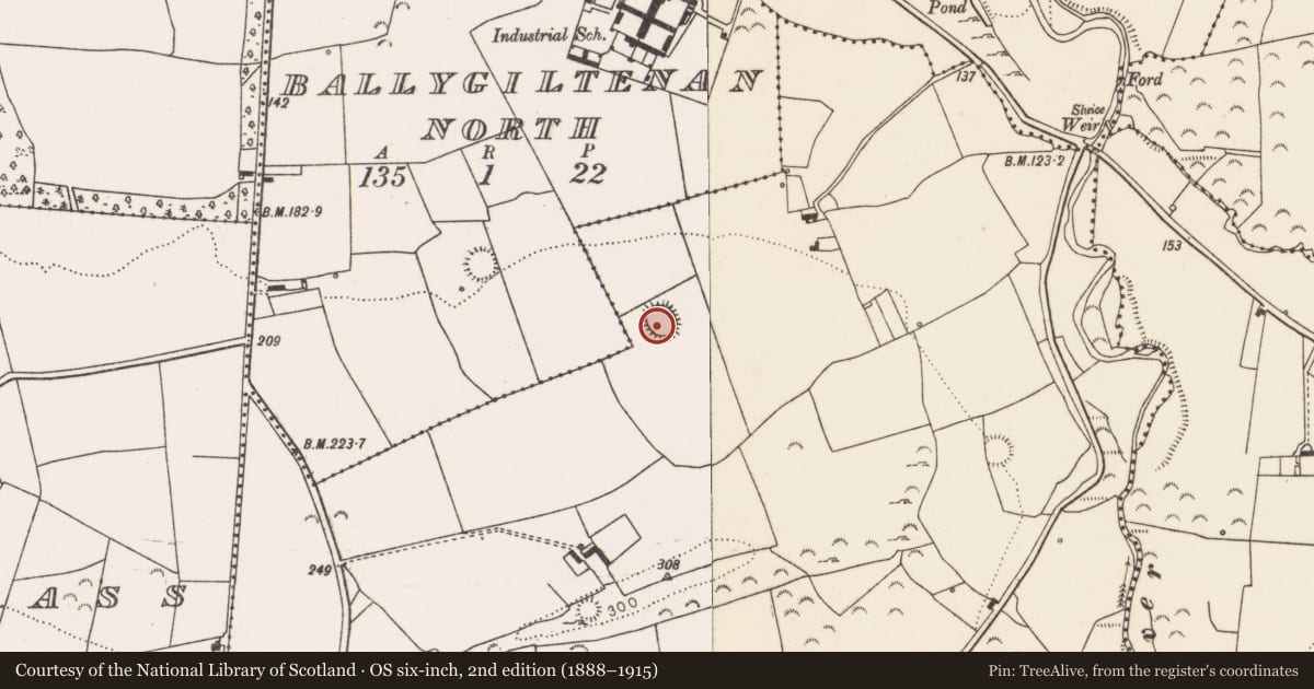 Ordnance Survey six-inch map, 2nd edition (1888–1915) covering the location of Ringfort - rath, Ballygiltenan Lower, County Limerick, with a pin at the register's coordinates