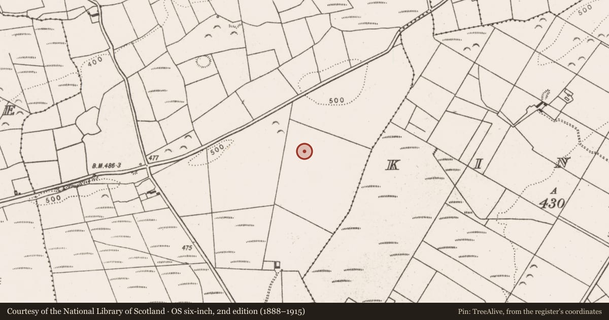 Ordnance Survey six-inch map, 2nd edition (1888–1915) covering the location of Standing stone, Ballynagaul, County Limerick, with a pin at the register's coordinates