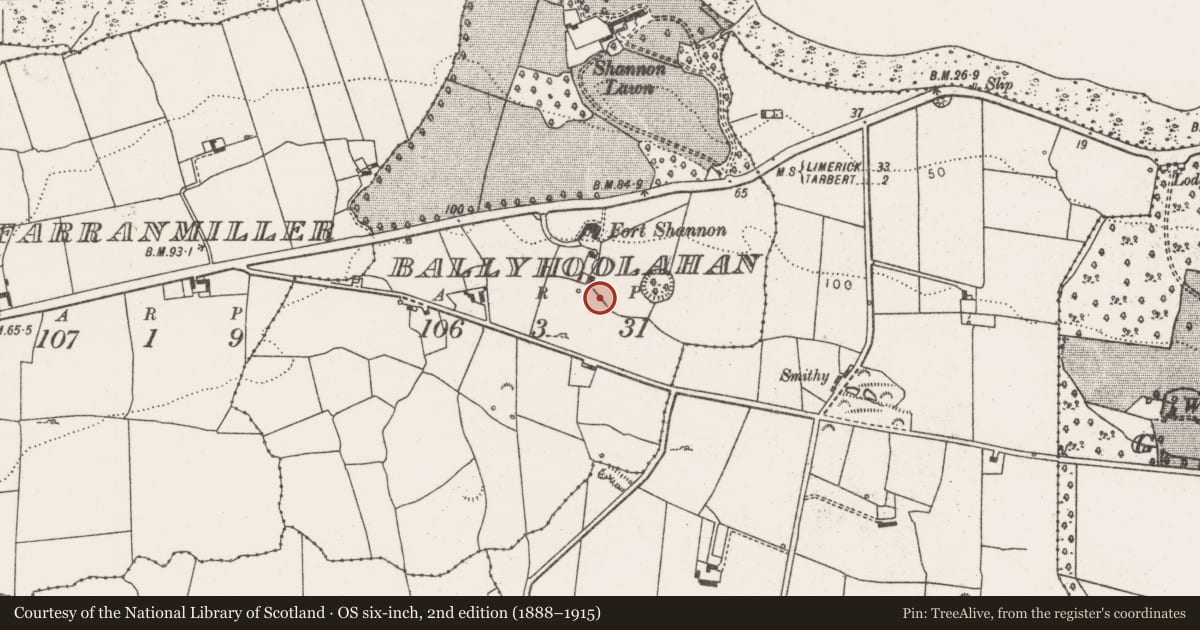 Ordnance Survey six-inch map, 2nd edition (1888–1915) covering the location of Well, Ballyhoolahan, County Limerick, with a pin at the register's coordinates