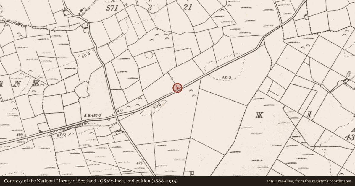 Ordnance Survey six-inch map, 2nd edition (1888–1915) covering the location of Bullaun stone, Ballynagaul, County Limerick, with a pin at the register's coordinates