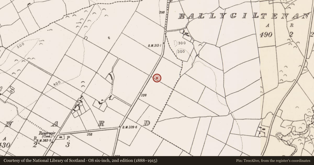 Ordnance Survey six-inch map, 2nd edition (1888–1915) covering the location of Fulacht fia, Kinard, County Limerick, with a pin at the register's coordinates