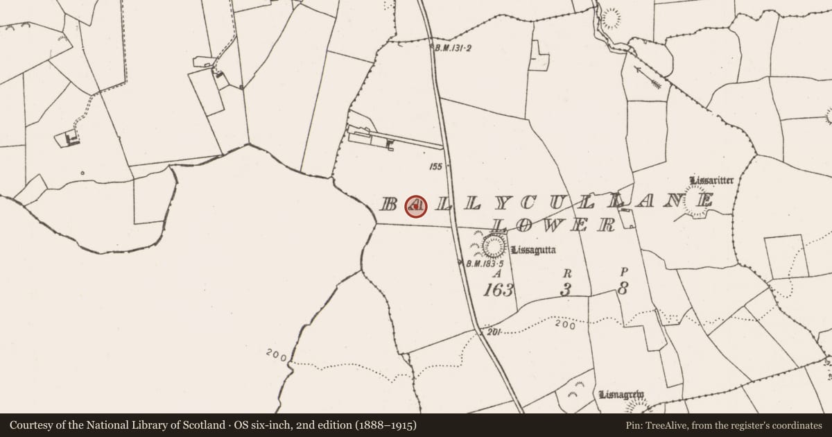Ordnance Survey six-inch map, 2nd edition (1888–1915) covering the location of Enclosure, Ballycullane Lower, County Limerick, with a pin at the register's coordinates