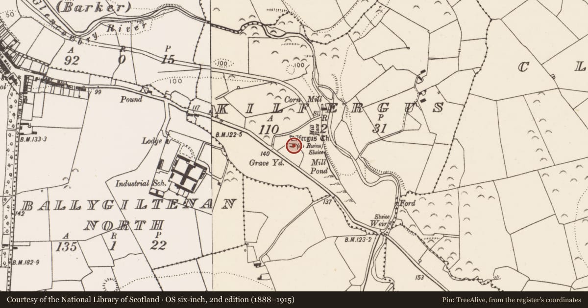 Ordnance Survey six-inch map, 2nd edition (1888–1915) covering the location of Church, Kilfergus, County Limerick, with a pin at the register's coordinates