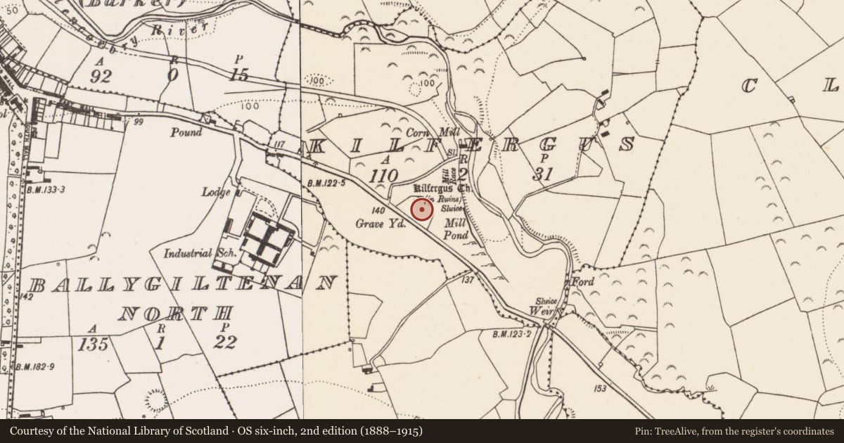 Ordnance Survey six-inch map, 2nd edition (1888–1915) covering the location of Graveyard, Kilfergus, County Limerick, with a pin at the register's coordinates