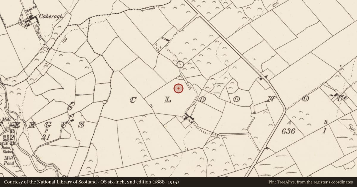 Ordnance Survey six-inch map, 2nd edition (1888–1915) covering the location of Ringfort - rath, Cloonoughter, County Limerick, with a pin at the register's coordinates