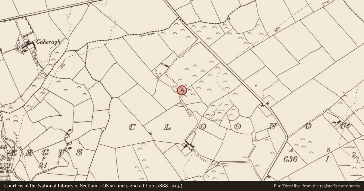 Ordnance Survey six-inch map, 2nd edition (1888–1915) covering the location of Ringfort - rath, Cloonoughter, County Limerick, with a pin at the register's coordinates