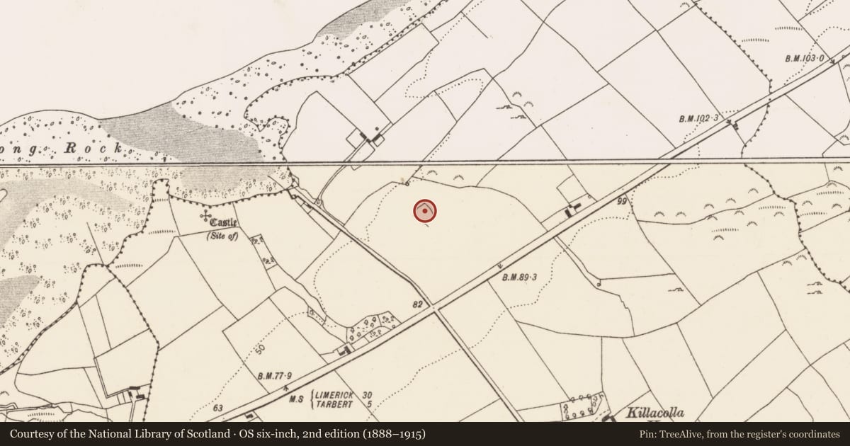 Ordnance Survey six-inch map, 2nd edition (1888–1915) covering the location of Moated site, Killacolla, County Limerick, with a pin at the register's coordinates