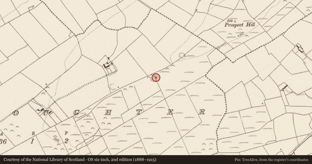 Ordnance Survey six-inch map, 2nd edition (1888–1915) covering the location of Ringfort - rath, Cloonoughter, County Limerick, with a pin at the register's coordinates