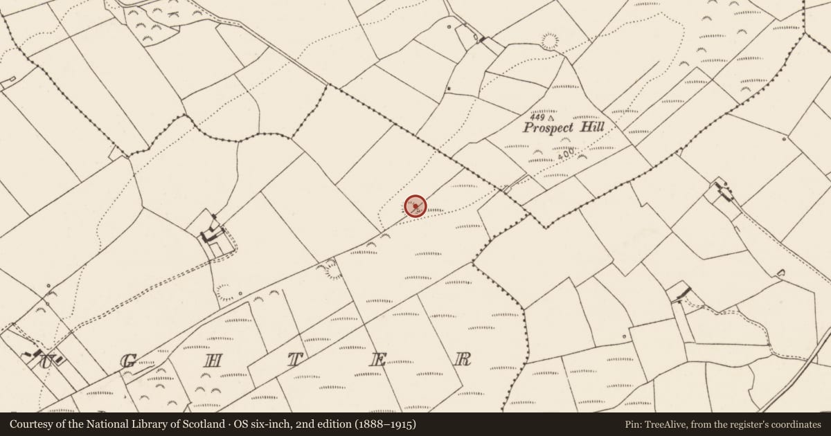 Ordnance Survey six-inch map, 2nd edition (1888–1915) covering the location of Ringfort - rath, Cloonoughter, County Limerick, with a pin at the register's coordinates