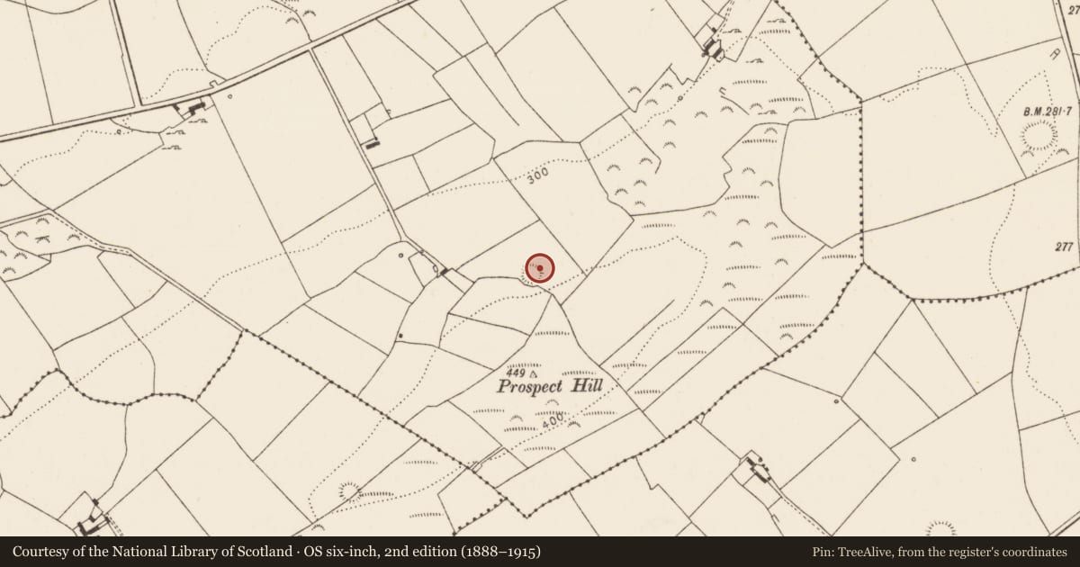 Ordnance Survey six-inch map, 2nd edition (1888–1915) covering the location of Ringfort - rath, Killacolla, County Limerick, with a pin at the register's coordinates