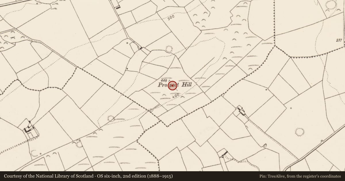 Ordnance Survey six-inch map, 2nd edition (1888–1915) covering the location of Field boundary, Killacolla, County Limerick, with a pin at the register's coordinates