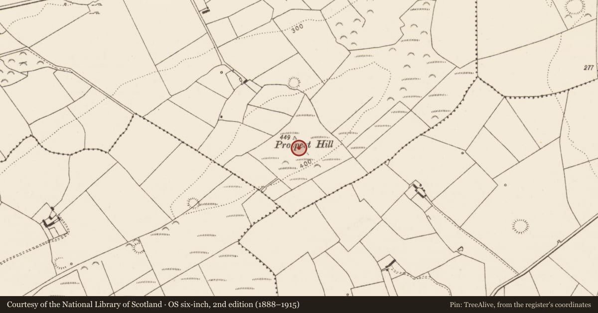 Ordnance Survey six-inch map, 2nd edition (1888–1915) covering the location of Hearth, Killacolla, County Limerick, with a pin at the register's coordinates