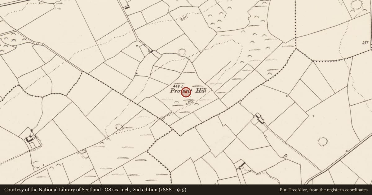 Ordnance Survey six-inch map, 2nd edition (1888–1915) covering the location of Cist, Killacolla, County Limerick, with a pin at the register's coordinates