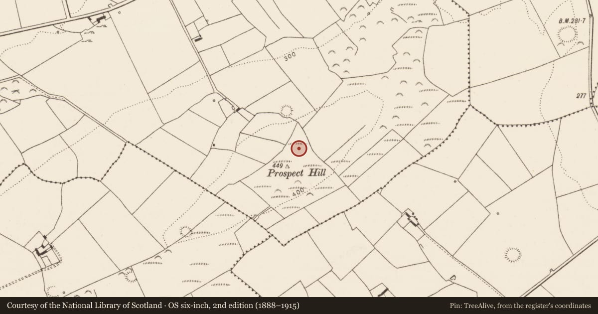 Ordnance Survey six-inch map, 2nd edition (1888–1915) covering the location of Mound, Killacolla, County Limerick, with a pin at the register's coordinates