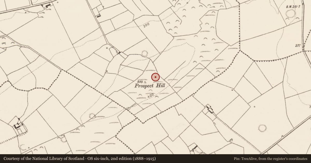 Ordnance Survey six-inch map, 2nd edition (1888–1915) covering the location of Cairn - unclassified, Killacolla, County Limerick, with a pin at the register's coordinates
