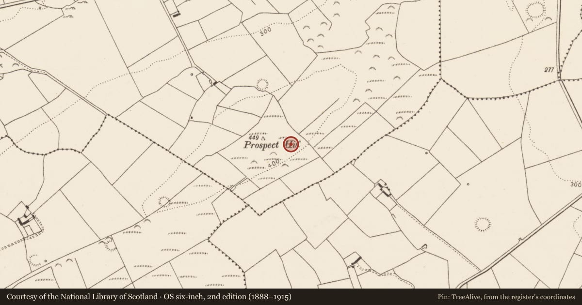 Ordnance Survey six-inch map, 2nd edition (1888–1915) covering the location of Field boundary, Killacolla, County Limerick, with a pin at the register's coordinates