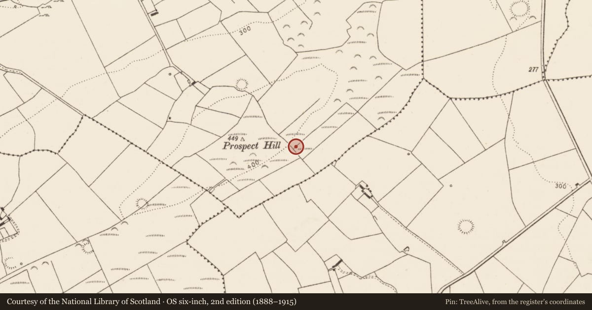 Ordnance Survey six-inch map, 2nd edition (1888–1915) covering the location of Fulacht fia, Killacolla, County Limerick, with a pin at the register's coordinates