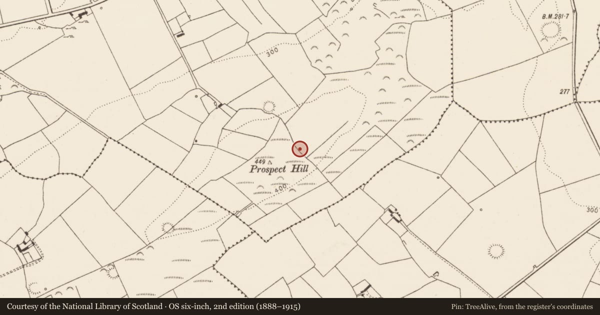 Ordnance Survey six-inch map, 2nd edition (1888–1915) covering the location of Mound, Killacolla, County Limerick, with a pin at the register's coordinates
