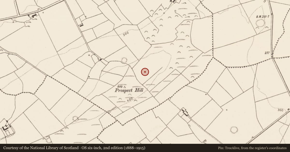 Ordnance Survey six-inch map, 2nd edition (1888–1915) covering the location of Field boundary, Killacolla, County Limerick, with a pin at the register's coordinates