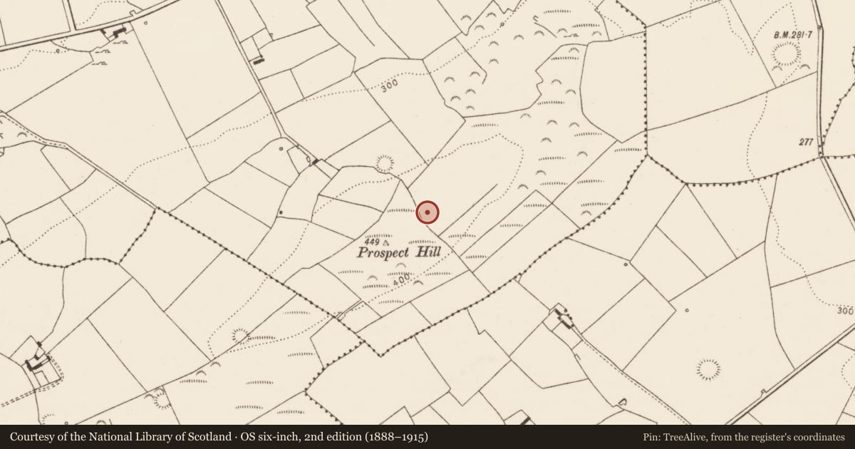 Ordnance Survey six-inch map, 2nd edition (1888–1915) covering the location of Mound, Killacolla, County Limerick, with a pin at the register's coordinates