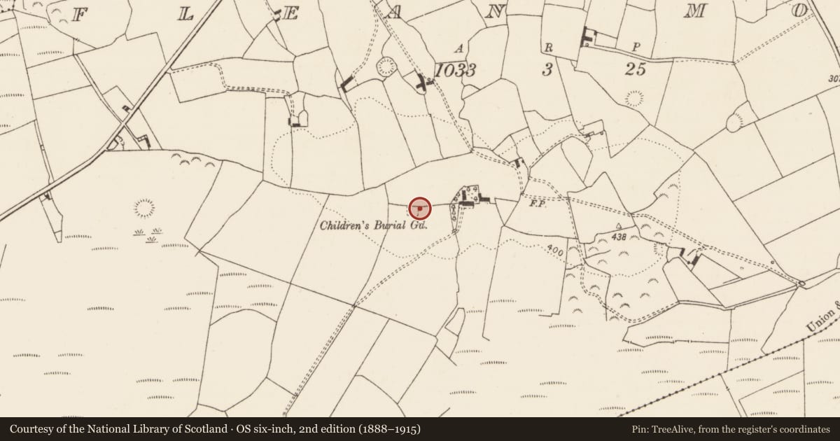 Ordnance Survey six-inch map, 2nd edition (1888–1915) covering the location of Children's burial ground, Flean More, County Limerick, with a pin at the register's coordinates