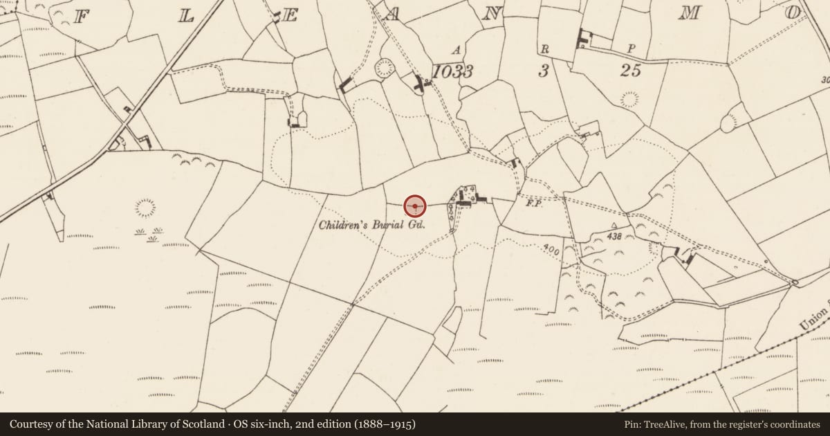 Ordnance Survey six-inch map, 2nd edition (1888–1915) covering the location of Church, Flean More, County Limerick, with a pin at the register's coordinates