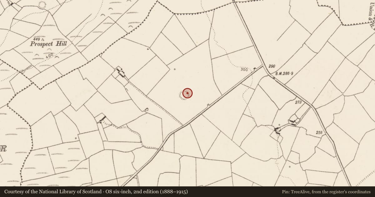 Ordnance Survey six-inch map, 2nd edition (1888–1915) covering the location of Ringfort - rath, Flean More, County Limerick, with a pin at the register's coordinates