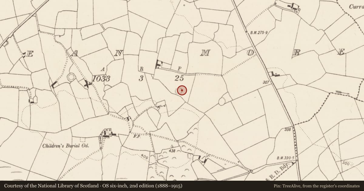Ordnance Survey six-inch map, 2nd edition (1888–1915) covering the location of Ringfort - rath, Flean More, County Limerick, with a pin at the register's coordinates