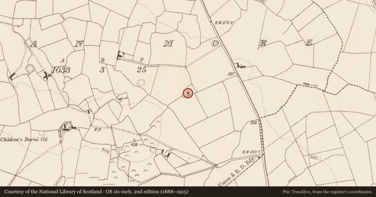 Ordnance Survey six-inch map, 2nd edition (1888–1915) covering the location of Ringfort - rath, Flean More, County Limerick, with a pin at the register's coordinates