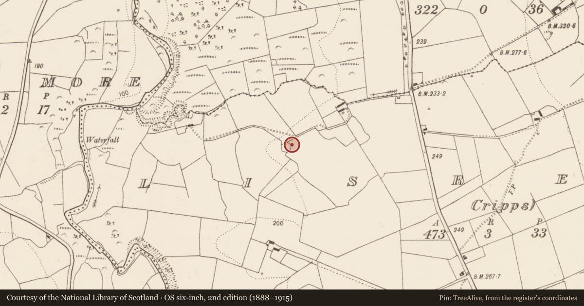 Ordnance Survey six-inch map, 2nd edition (1888–1915) covering the location of Ringfort - rath, Lisready (Cripps), County Limerick, with a pin at the register's coordinates