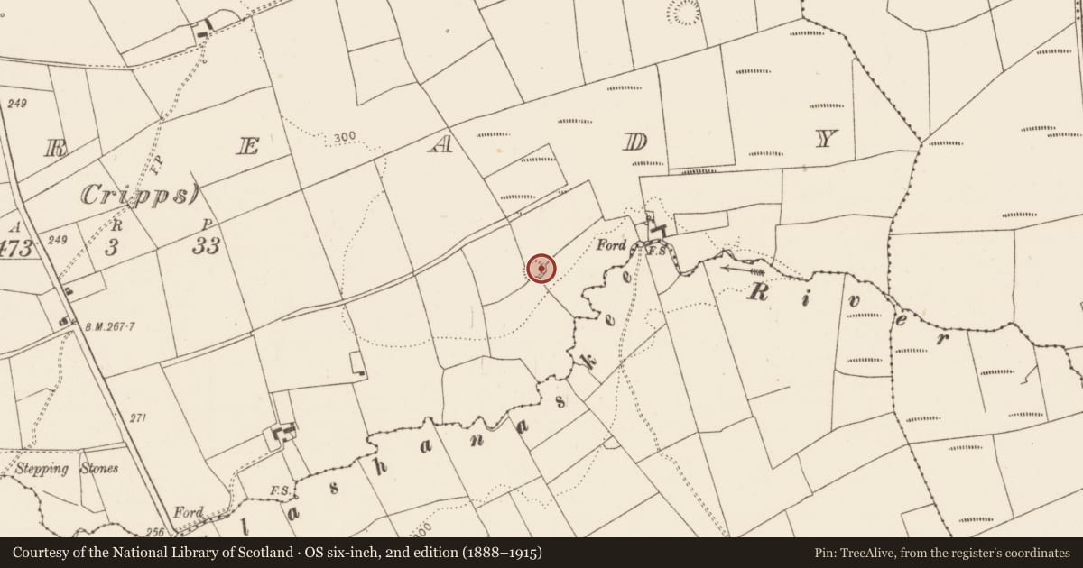 Ordnance Survey six-inch map, 2nd edition (1888–1915) covering the location of Ringfort - rath, Lisready (Cripps), County Limerick, with a pin at the register's coordinates